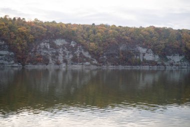 Ağaçlar ve yapraklarla dolu güzel sonbahar manzarası