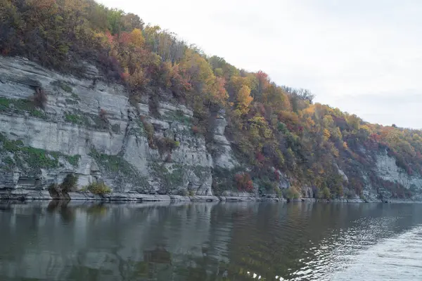 Ağaçlar ve dağlarla dolu güzel sonbahar manzarası