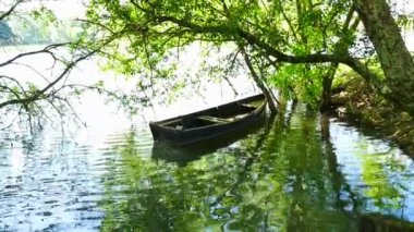 Wood boat on a calm water in lake with tree above and reflection clip