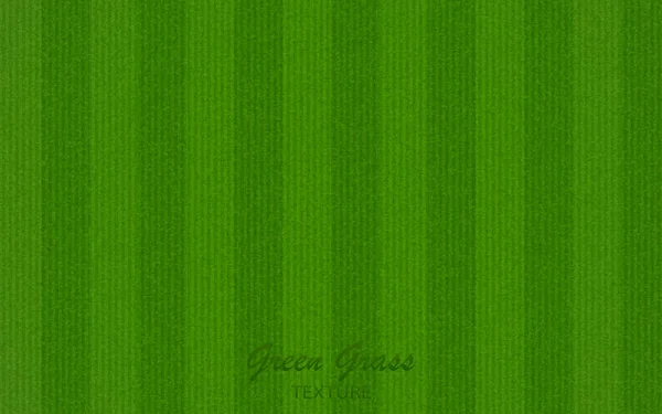 緑の草のテクスチャベクトルの背景 Eps10 — ストックベクタ