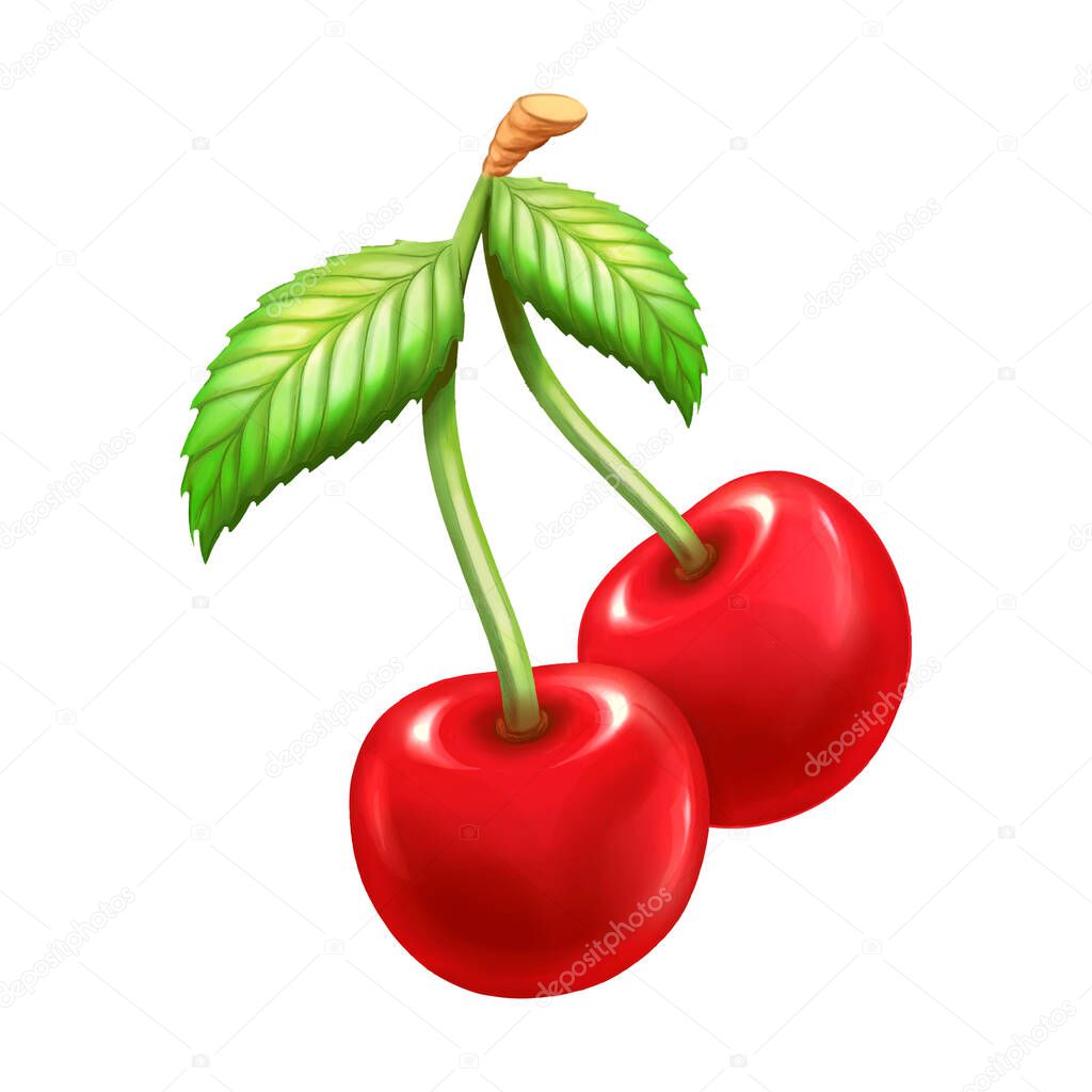 Cherry icon isolated on white background. Vector tracing eps10