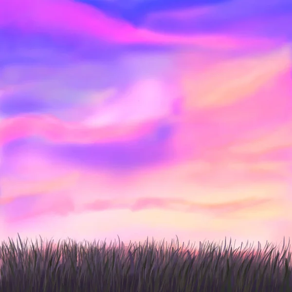 Matahari Terbenam Langit Merah Muda Dengan Rumput Latar Belakang Vektor - Stok Vektor