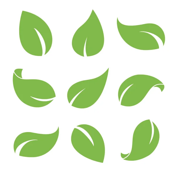 Hojas Verdes Sobre Fondo Blanco Elementos Diseño Plano Para Logotipo —  Fotos de Stock