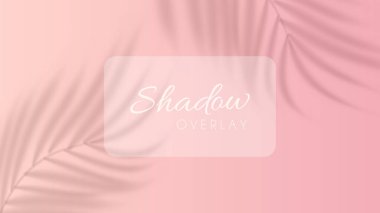 Palmiye yaprağı siluetinin gölgesi ile soyut pembe arka plan. Yaz ya da bahar posteri için tropik ağaç dalının bulanık gölgesi