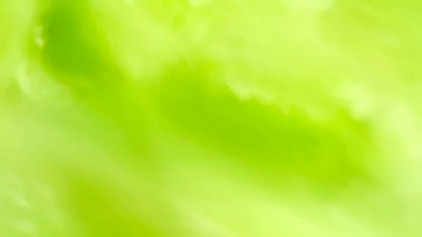 ベクトル抽象的背景 夏のポスター バナーのグラデーションと明るい緑の色の現代的な壁紙 夏と春の販売のためのブランクテンプレート 美しいぼやけた背景 Eps10 — ストックベクタ