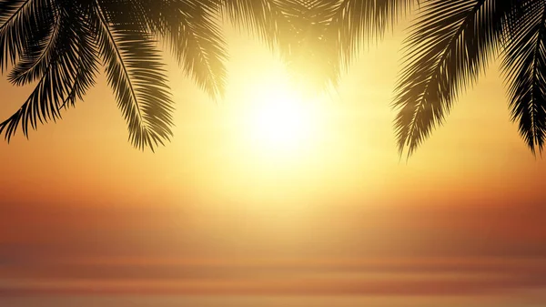 Tropická Pláž Vektor Západ Slunce Ilustrace Silueta Palmových Listů Proti — Stockový vektor