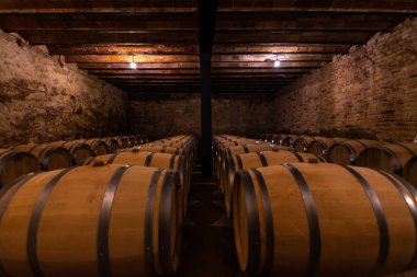 Şarap fıçıları şarap mahzenine dizilmişti. Üzüm fermantasyonu