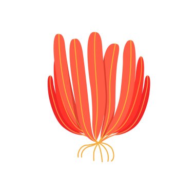 Dünya 'daki yaşam formlarının evrimi kavramı