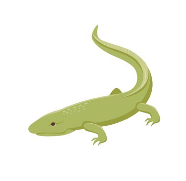 Dünya 'daki yaşam formlarının evrimi kavramı