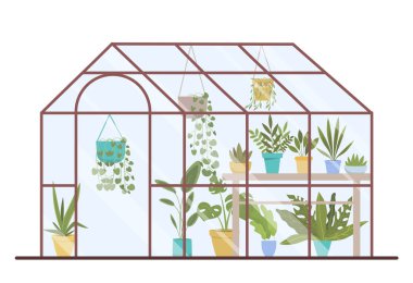 Bitkilerle dolu bir sera. Çiçekçilik, çiçekçilik, bahçıvanlık ve doğa bakımı. Poster ya da afiş tasarımı, bahar ya da yaz zamanı, bitki örtüsü. Bahçe işleri ve saksı. Çizgi film düz vektör çizimi