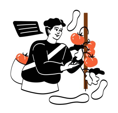 İnsanlar hasat topluyor. Postayla kazılmış domatesleri toplayan genç adam. Çiftçilik ve tarım. Sebzeler ve doğal organik ürünler. Bahçede çantalı bir adam. Çizgi film düz vektör çizimi