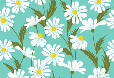 Papatya pürüzsüz desen. Tekrarlanan papatya çiçekleri ve yeşil yapraklı desen. Duvar kağıdı, ambalaj ve kumaş baskısı için saha bitkilerine sahip tasarım elemanı. Çizgi film düz vektör çizimi