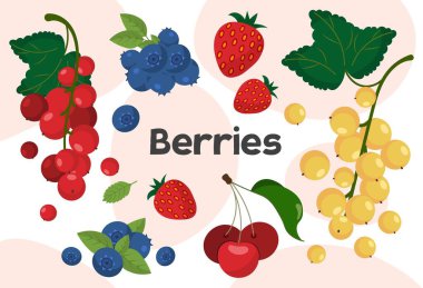 Set of berries. Collection of natural and organic products. Vitamins, vegetarian diet and healthy eating, proper nutrition concept. Cartoon flat vector illustrations isolated on white background