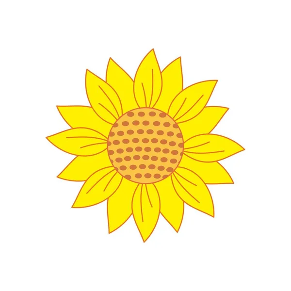 sunflower icon. yellow flower design. vector illustration