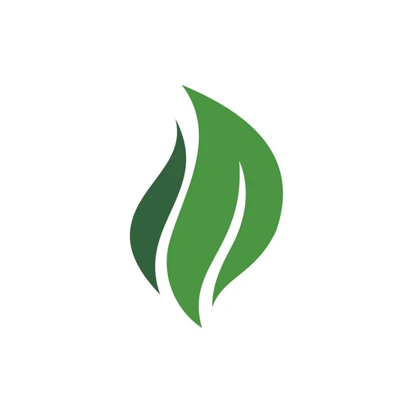 Шаблон Логотипа Зеленого Листа Рисунок Иконки — стоковый вектор