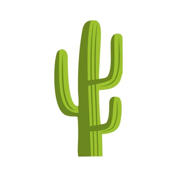 Green Cactus Icon Isolated White Background — Stock Vector