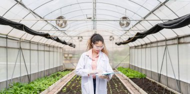 Endüstriyel serada tarım araştırmacısı gelecekte daha iyi sonuçlar elde etmek için tarım kompleksi araştırmaları için notlar alıyor ve analiz ediyor..
