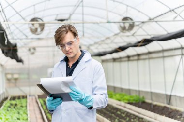 Agricultural researcher in the Industrial greenhouse analyze and take notes for research agricultural complex to produce better results in the future.