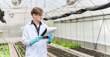 Endüstriyel serada tarım araştırmacısı gelecekte daha iyi sonuçlar elde etmek için tarım kompleksi araştırmaları için notlar alıyor ve analiz ediyor..