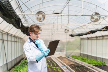 Endüstriyel serada tarım araştırmacısı gelecekte daha iyi sonuçlar elde etmek için tarım kompleksi araştırmaları için notlar alıyor ve analiz ediyor..