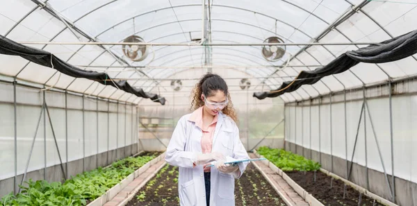 Endüstriyel serada tarım araştırmacısı gelecekte daha iyi sonuçlar elde etmek için tarım kompleksi araştırmaları için notlar alıyor ve analiz ediyor..