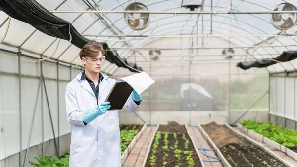 Agricultural researcher in the Industrial greenhouse analyze and take notes for research agricultural complex to produce better results in the future.