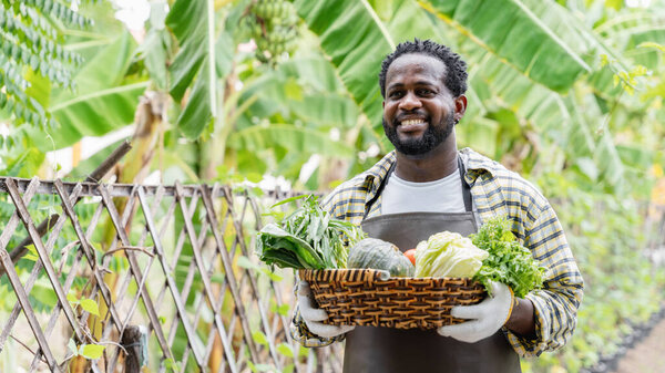 Farmer man showing fruit vegetable basket near the henhouse., Agriculture and Farm lifestyle and concept.