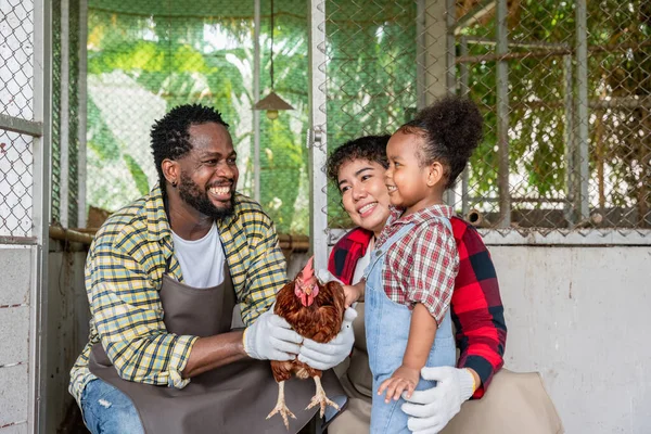Çiftçinin ailesine tavuk göstermesi, tarım ve tarım yaşam tarzı ve konsepti.
