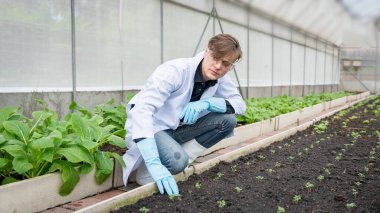 Endüstriyel serada tarım araştırmacısı gelecekte daha iyi sonuçlar elde etmek için tarım kompleksi araştırmaları için notlar alıyor ve analiz ediyor..
