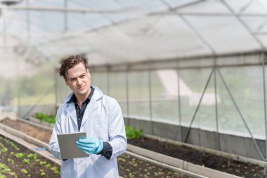 Endüstriyel sera araştırmacıları tarımsal araştırma kompleksi için gelecekte daha iyi sonuçlar üretmek için tabletleri inceler ve saklarlar..