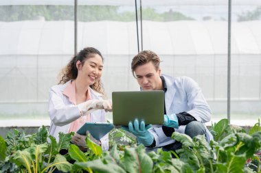 Endüstriyel serada çalışan iki tarım araştırmacısı gelecekte daha iyi sonuçlar elde etmek için analiz ve araştırma kompleksi oluşturuyorlar..