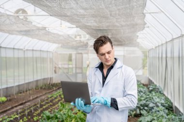 Endüstriyel seradaki tarım araştırmacıları gelecekte daha iyi sonuçlar elde etmek için tarımsal araştırma kompleksi için bilgisayarları analiz edip tutuyorlar..