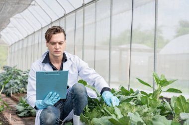 Endüstriyel sera araştırmacıları gelecekte daha iyi sonuçlar elde etmek için tarımsal sera analizi ve araştırma kompleksi.