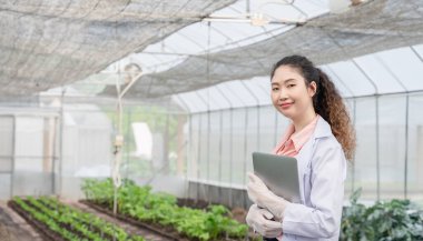 Endüstriyel seradaki tarım araştırmacıları gelecekte daha iyi sonuçlar elde etmek için tarımsal araştırma kompleksi için bilgisayarları analiz edip tutuyorlar..