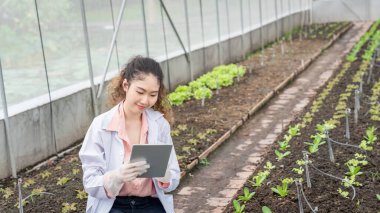 Endüstriyel sera araştırmacıları tarımsal araştırma kompleksi için gelecekte daha iyi sonuçlar üretmek için tabletleri inceler ve saklarlar..