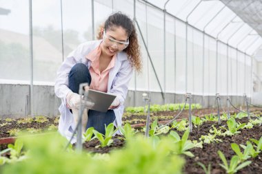 Endüstriyel sera araştırmacıları tarımsal araştırma kompleksi için gelecekte daha iyi sonuçlar üretmek için tabletleri inceler ve saklarlar..