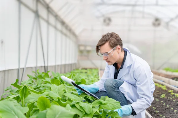 Agricultural Researcher Industrial Greenhouse Analyze Take Notes Research Agricultural Complex — Zdjęcie stockowe