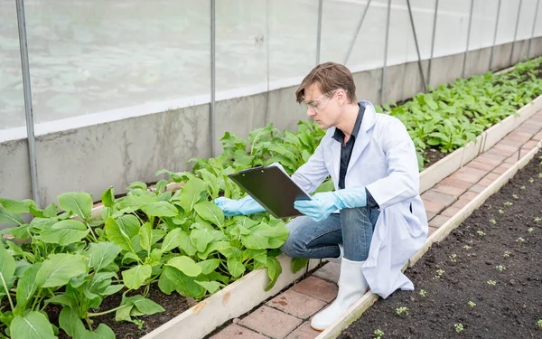 Endüstriyel serada tarım araştırmacısı gelecekte daha iyi sonuçlar elde etmek için tarım kompleksi araştırmaları için notlar alıyor ve analiz ediyor..