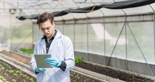Agricultural researchers in the Industrial greenhouse analyze and hold tablets for agricultural research complex to produce better results in the future.