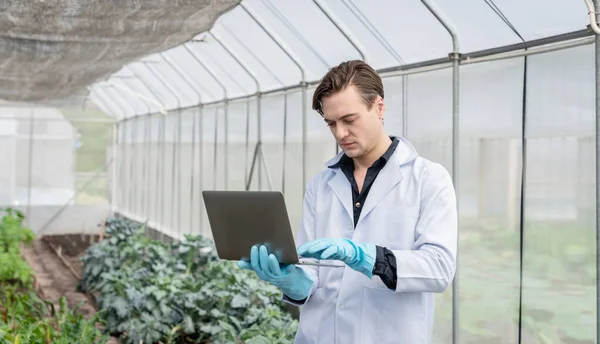 Agricultural researchers in the Industrial greenhouse analyze and hold computer laptops for agricultural research complex to produce better results in the future.