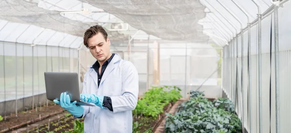 Agricultural researchers in the Industrial greenhouse analyze and hold computer laptops for agricultural research complex to produce better results in the future.