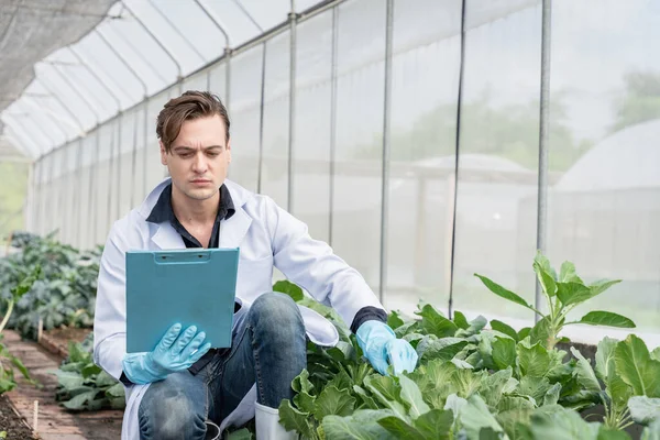 Endüstriyel sera araştırmacıları gelecekte daha iyi sonuçlar elde etmek için tarımsal sera analizi ve araştırma kompleksi.