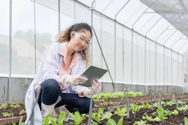 Agricultural researchers in the Industrial greenhouse analyze and hold tablets for agricultural research complex to produce better results in the future.