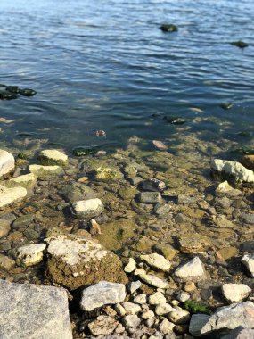 Sahilde deniz suyu ve taşlar