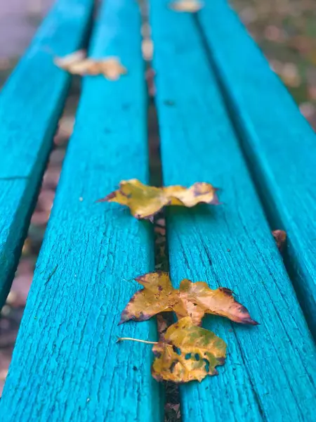 Autumn Leaves Wooden Floor — Stock Photo, Image