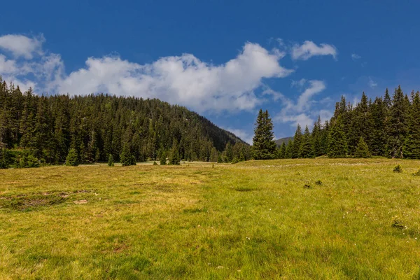 Pastagens Alpinas Típicas Das Regiões Norte Itália — Fotografia de Stock