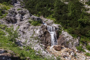 yemyeşil bir alp manzarasında sığ kayaların üzerinden akan temiz bir dere.