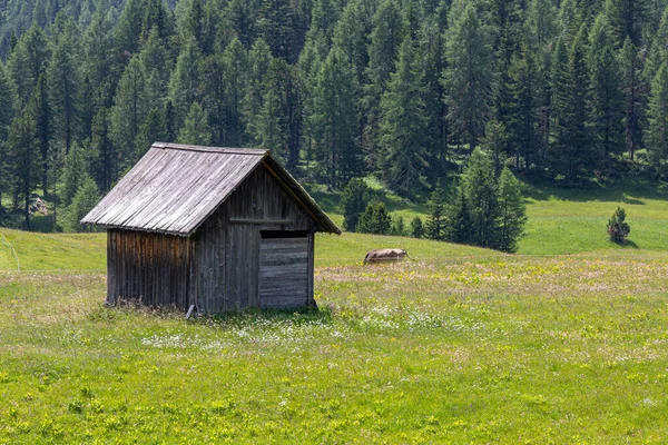 Typische Gebouwen Van Italiaanse Almen — Stockfoto