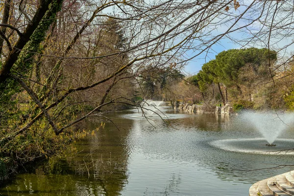 Fontaines Dans Étang Parc Municipal — Photo