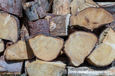 Ahşap kütük dokusu arkaplanından oluşan bir yığın duvarı